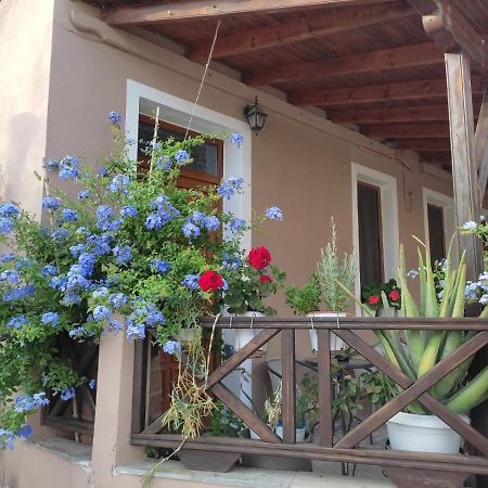 Plumbago Apartment Theologos  Экстерьер фото